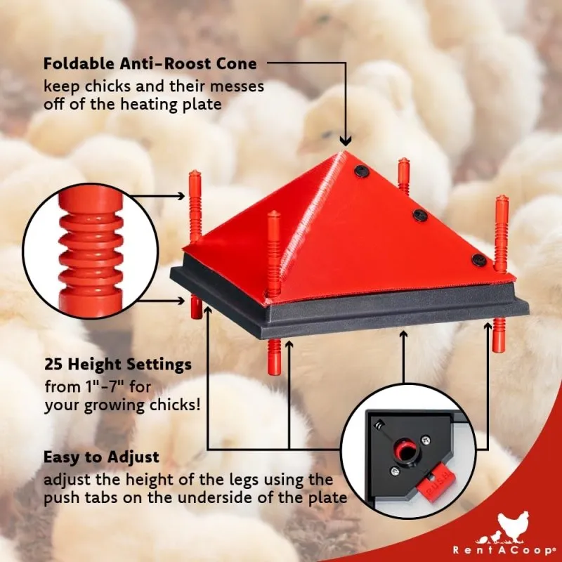 Chick Brooder Heating Plate and Bonus Foldable Anti-Roost Cone - Warms Up to 30 Chicks - Chick Heater with 25 Adjustable Heights and 42 Watts - Safer Alternative to Heat Lamps - 16" x 16"