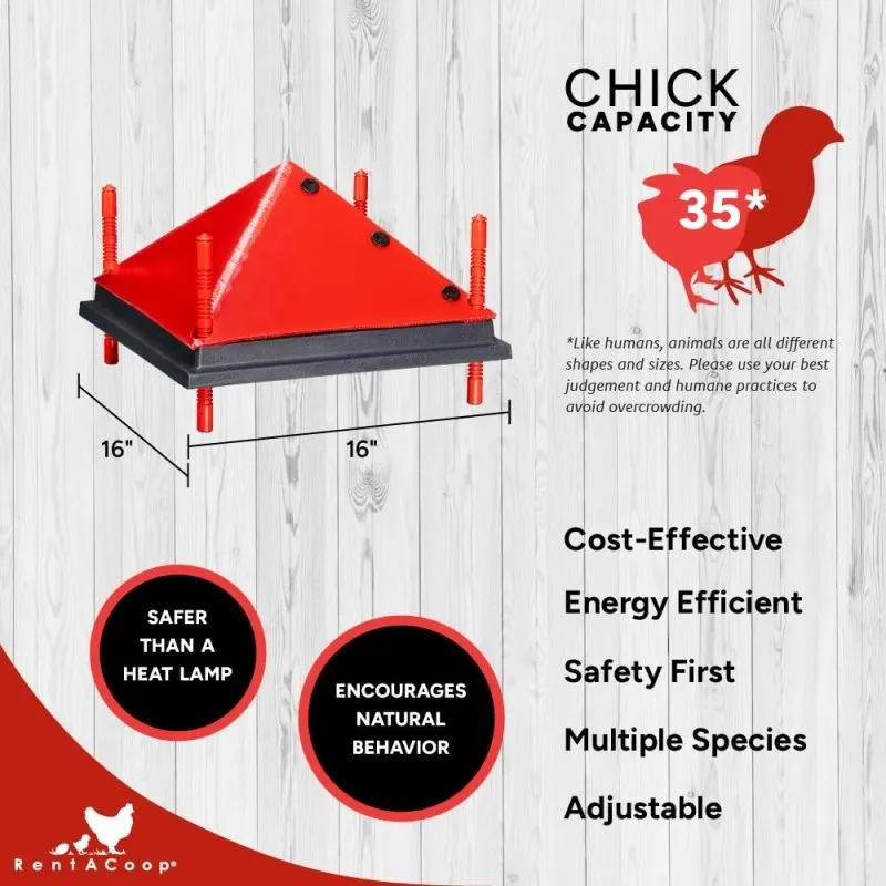 Chick Brooder Heating Plate and Bonus Foldable Anti-Roost Cone - Warms Up to 30 Chicks - Chick Heater with 25 Adjustable Heights and 42 Watts - Safer Alternative to Heat Lamps - 16" x 16"