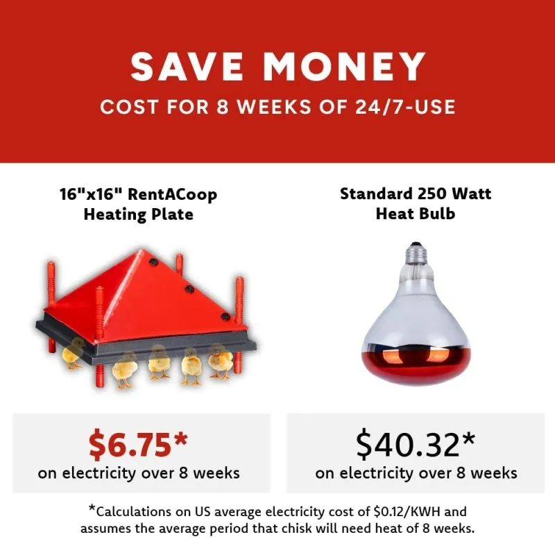 Chick Brooder Heating Plate and Bonus Foldable Anti-Roost Cone - Warms Up to 30 Chicks - Chick Heater with 25 Adjustable Heights and 42 Watts - Safer Alternative to Heat Lamps - 16" x 16"