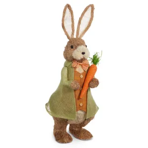 Raz Imports 2024 The Carrot Patch 30" Carrot Patch Bunny