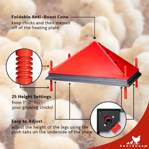 RentACoop Chick Brooder Heating Plate and Bonus Anti-Roost Cone - Brooder Heat Plate Warms Up to 30 Chicks - Chick Heater with 25 Adjustable Heights and 42 Watts - Safer Than Heat Lamps - 16" x 24"