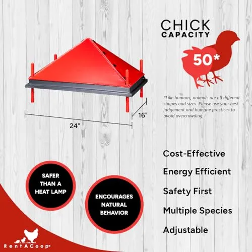 RentACoop Chick Brooder Heating Plate and Bonus Anti-Roost Cone - Brooder Heat Plate Warms Up to 30 Chicks - Chick Heater with 25 Adjustable Heights and 42 Watts - Safer Than Heat Lamps - 16" x 24"